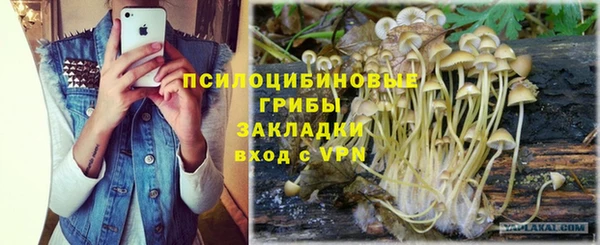 jwh Белокуриха