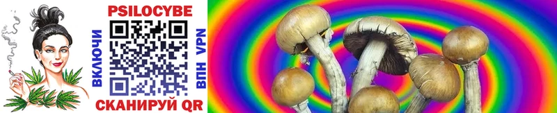 Псилоцибиновые грибы Psilocybine cubensis  KRAKEN зеркало  Курильск 